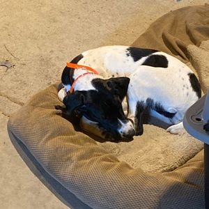 Meet your Posher, Rhonda